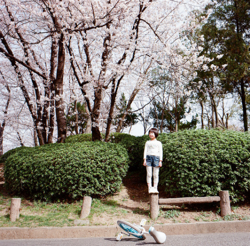 flymetojapan:  Made to stand by kunihito