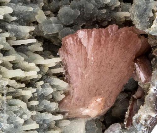 HeulanditeWhile strictly the name of a family of minerals, a sub class of the zeolite series that pr