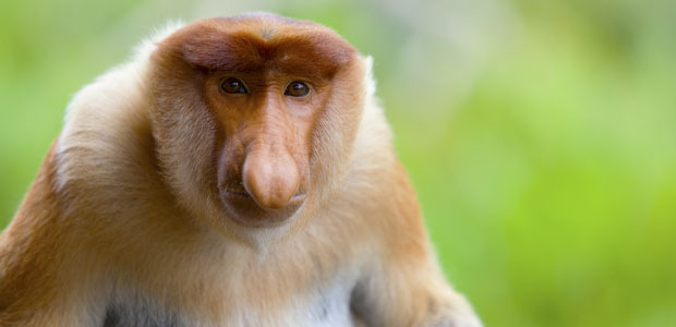 fruitsoftheape100:  fruitsoftheape100:   I Cant Fuck Until Ive Had My Morning Coffee