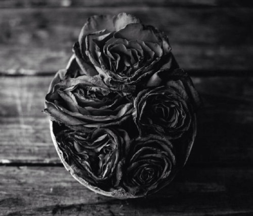 twopigment:  Unknown Edit by Twopigment