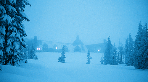 downey-junior:  THE SHINING (1980) Directed by Stanley Kubrick Cinematography by