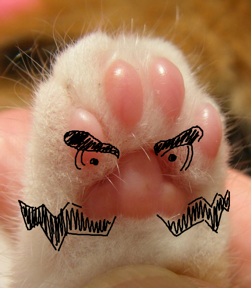 toe beans