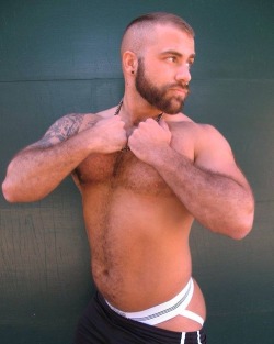 bearlywill.tumblr.com post 155981161286