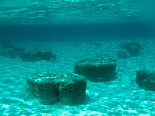 Bahamanian Stromatolites These giant boulders are stromatolites, one of the oldest types of life rep