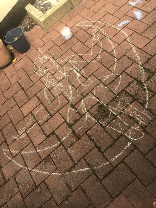 märchen star kanata, done on bricks with chalk.