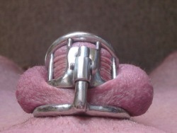 This is The Guild of Men in Chastity