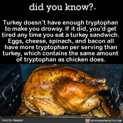 did-you-kno:  Turkey doesn’t have enough tryptophan  to make you drowsy. If it did, you’d get  tired any time you eat a turkey sandwich.  Eggs, cheese, spinach, and bacon all  have more tryptophan per serving than  turkey, which contains the same