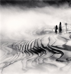 iamjapanese:  Michael Kenna Yuanyang, Study