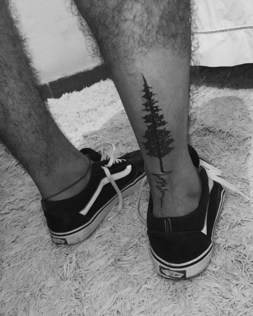 Mais uma pra coleção @didioliveira.aly #tattoo #pinheiros #vans #vansoldskool #love #t