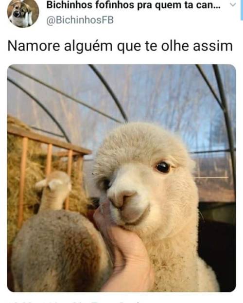 brutamente-meiga: