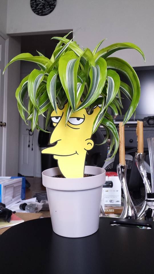 El Actor Secundario Bob ha vuelto, en forma de planta