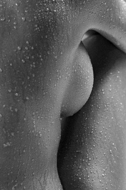 bangarangblog:  wetness is the essence of