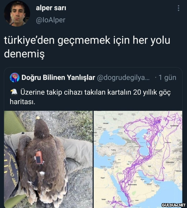 alper sarı @loAlper...