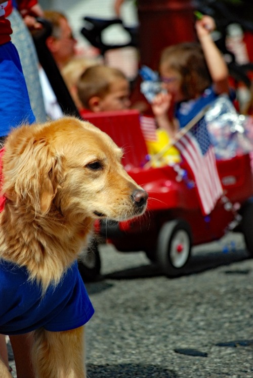 Happy July 4th! By ysyphotos