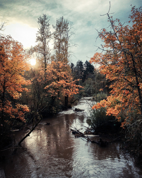 burning-soul:Springwater Corridor Trail by photosbysomeguy on Flickr.