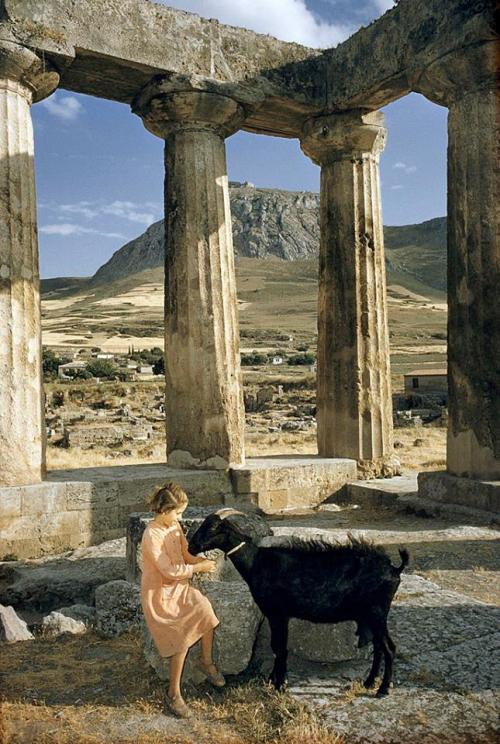 beautifulgreece:David Boye, 1956Greek Girl in Corinth with her goat at Apollo’s temple