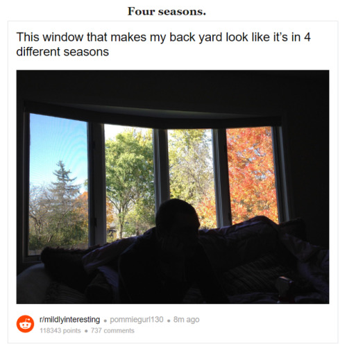 oh-wild-youth: recommend: Photos that look like real life glitches (x)   the only subreddit that matters 