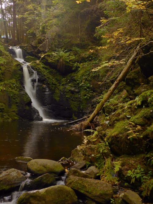 blackforestnature:Falkau waterfall