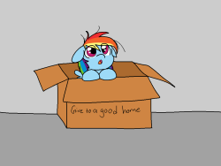 ask-pencilsketch:  my little dashie fanart  ;w;! &lt;333