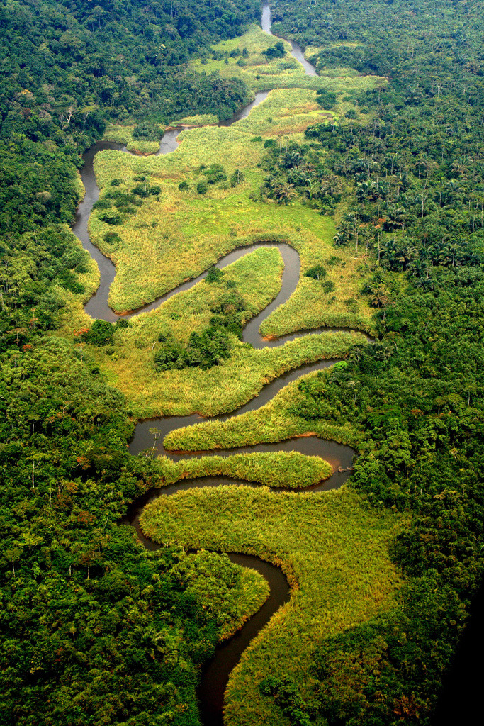 drxgonfly:  Meandering River in the Congo (by Tom Furst)