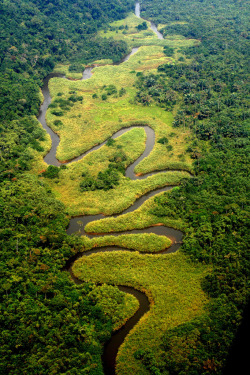 drxgonfly:  Meandering River in the Congo