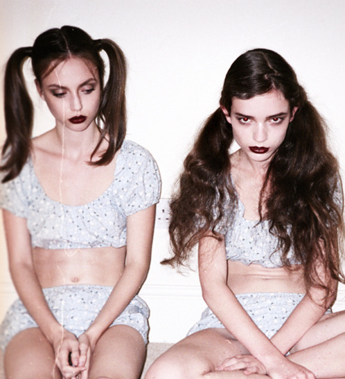 vanilla-icinq:  ~ 