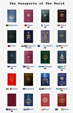 shikariwilly:  Every passport in the world
