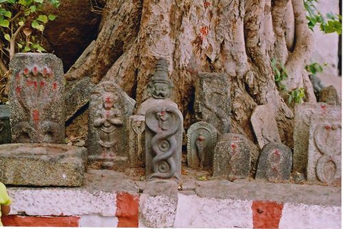 Nagakal (snake stones) under a banyam tree, Hampi , Karnataka