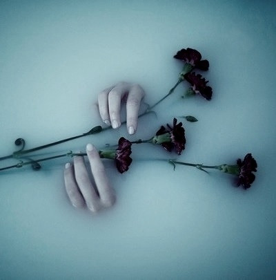 Michelle MidnightSky~