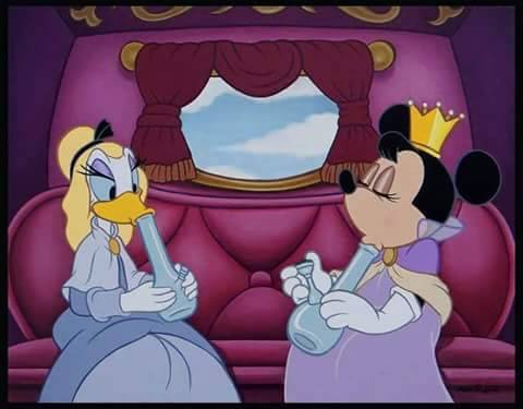 lampidipazzia:  Disney ladys’ real life. 