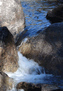 riverwindphotography:  Constant Change: Clear waters cascade between granitic boulders, Crazy Creek, Beartooth Mountains, Shoshone National Forest, Wyoming gif by riverwindphotography, Nov. 2016  I miss Wyoming 🖤