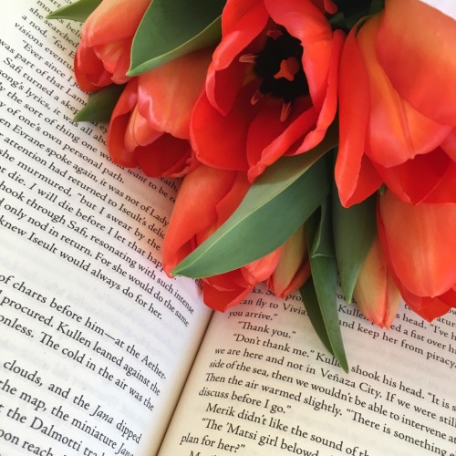 nightleafreads:ready for more spring blooms //