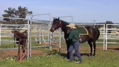 funnnyyy-giiiifffsss:  Shut up and check this gif !