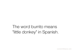 psychofactz:  More facts  -looks down at burrito- Donkey? -sheds a single tear-