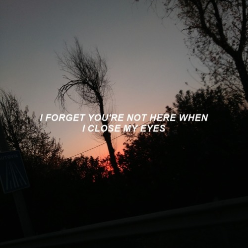 gh0stsinmybed: too much to ask - niall horan