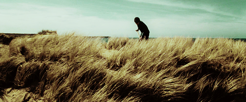 lenoreamidala:  Has it ever crossed your brilliant mind that I don’t want to do this anymore? 