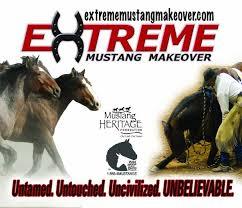 Just watched the 2011 Extreme Mustang Makeover on netflix. Lemme just say I could never do this, I&rsquo;d be too afraid of falling in love with my mustang, just like some of the showcased trainers had.  In case you don&rsquo;t know what this competition