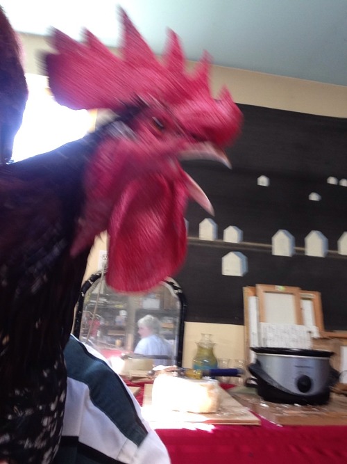 sparrf:@attor gripping the waddle &an action shot ofhim not using his inside voice