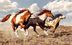 breathlessbeautynudity:  Galloping Mustangs by deskridge  