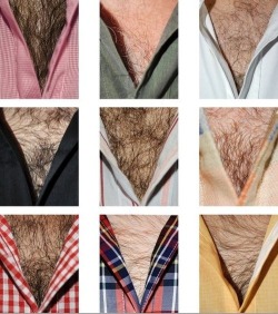 stachedick:  What’s your favourite?