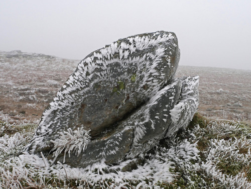 Porn photo 90377:  Ben Ledi ice crystals by Niall Corbet