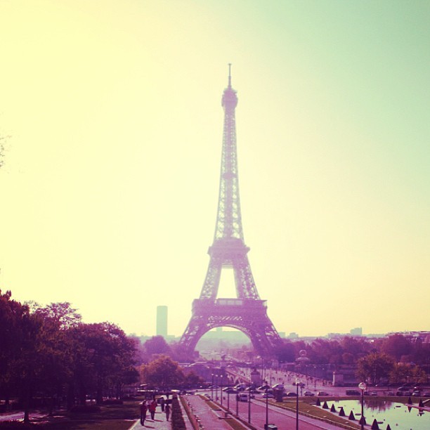 steph-direction-mix:  Statigram – Instagram webviewer on We Heart It - http://weheartit.com/entry/55470574/via/steph_1Dforever
