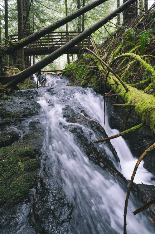 millivedder:  Definitely wasn’t standing in a waterfall for this shot Print Shop