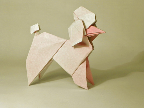 misswallflower:Origami by Roman Diaz