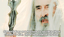 lord of the rings daily
