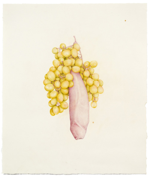jarelion: FRUITS by Aurel Schmidt 