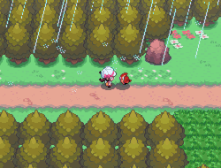 Freeandshonenspirit:  It Started To Rain! 