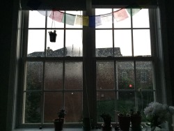 rainh:  I love how my windows look right