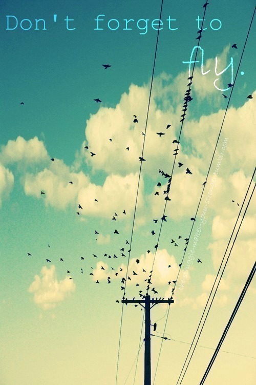 thelovenotebook:  INSPIRATION, LOVE & PERSONAL 