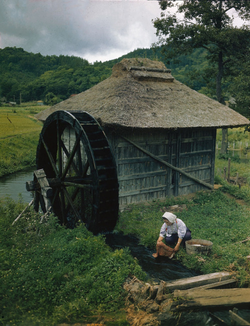 s-h-o-w-a: A Japanese woman is pictured washing clothes beside a small stream that runs the thatched